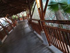 -海口观澜湖火山温泉谷