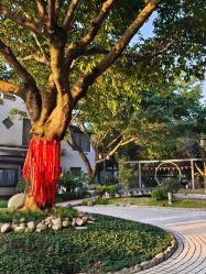 点击看大图 -莲生母婴月子中心(清水河公园店)