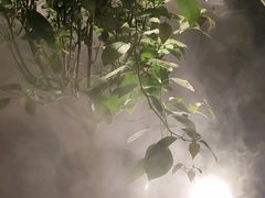 -花锦堂·隐庐