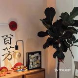 好糖水不怕巷子深,哦不对,地铁口200米而已