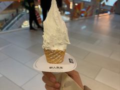 -野人先生现做冰淇淋(北京环宇荟店)