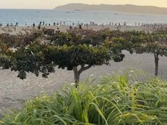 -渔家火锅·海鲜自助餐·演艺(亚龙湾天域酒店)