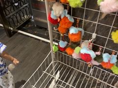 -巴依老爷新疆美食(清华东门店)