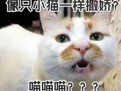 -西贝(金桥店)