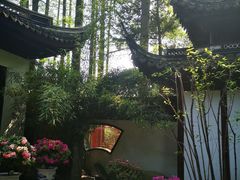 -汇龙潭