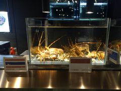-璞御·海鲜·雪花牛肉局(宾水西道店)