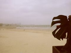 大堂-ChanDu躔度咖啡(灯塔店)