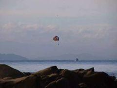-东姑阿都拉曼海洋公园