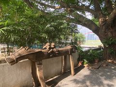 -喜洲吧·江畔老船厂·庭院餐厅(喜临院店)