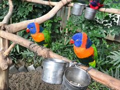 -南宫五洲植物乐园