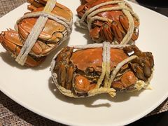 -太湖饭店玉兰厅(自助餐厅)