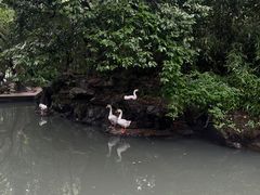 -兰亭风景区
