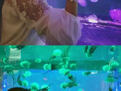 -石家庄海洋公园