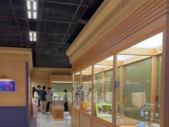 -帕帕拉兹宠物(亚洲旗舰店)