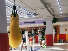 -津武堂散打搏击俱乐部(河西店)