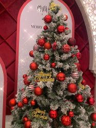 -尊尚柏丽美容SPA