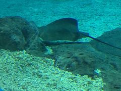 -福州罗源湾海洋世界旅游区