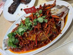 -杨氏青龙虾·羊蝎子(珠江路店)