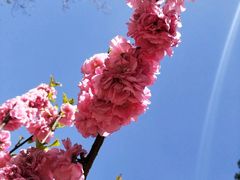 -海棠花溪(元大都城垣遗址公园)
