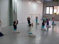 -舞蕾舞蹈(特长生校区)