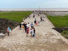 -南汇嘴观海公园