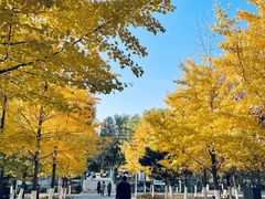 -长白岛森林公园