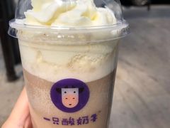 -一只酸奶牛(八一路店)