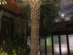 -云境生态园(红谷滩店)