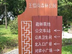 景点-王借岗森林公园