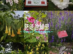 -广西壮族自治区药用植物园