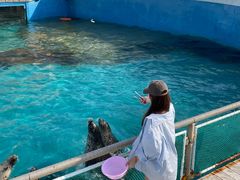 -秦皇岛乐岛海洋王国