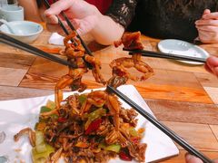 辣炒田鸡-满堂春特色餐馆