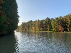 -上海海湾国家森林公园