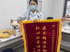 -中国农业大学动物医院
