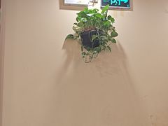 -老雒阳面馆·水席(高新区店)