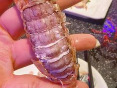 -王庄阿咪海鲜大排档(象园店)