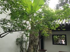 -汇龙潭