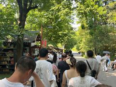 -天河潭旅游度假区