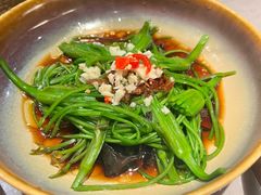 炝拌水性杨花-芸山季·云南野生菌火锅(宝能环球汇店)
