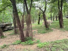 -秦皇岛野生动物园