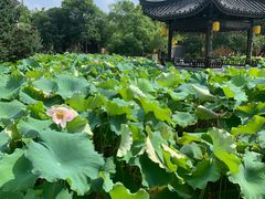 -丝绸小镇荻港古村