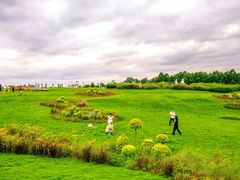 -空港花田景区
