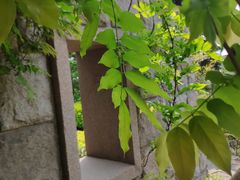 -观象山公园