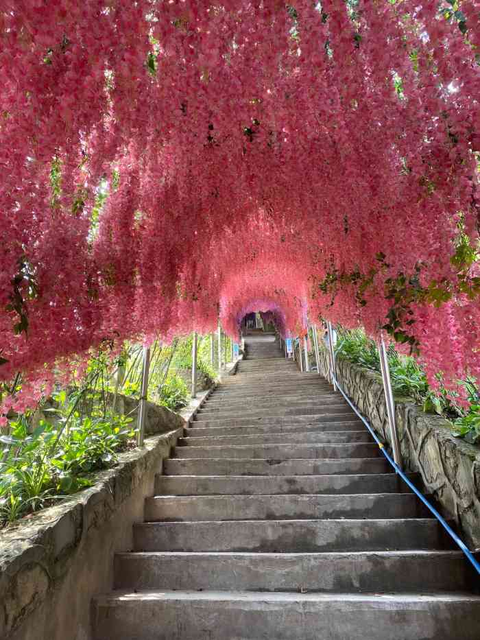 铜锣花谷生态园-"位于南岸区的弹广路上,建议开车去,虽然也.
