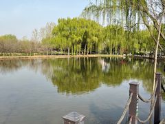 -西安浐灞国家湿地公园