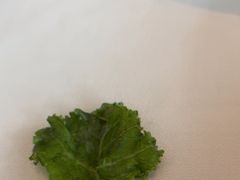 -佐度王子扒房(天鹅湖店)