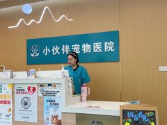 -小伙伴宠物医院•急重症转诊中心·老年专科·犬猫全科(北大街总院)