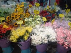 -循礼门鲜花花市(武汉循礼门店)