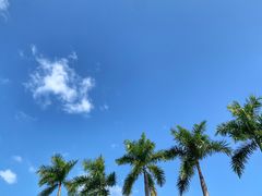-林丰温泉度假山庄