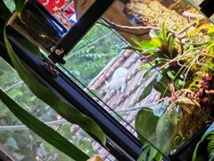 -Rabbit Cafe私房西餐甜点咖啡(栖霞路店)